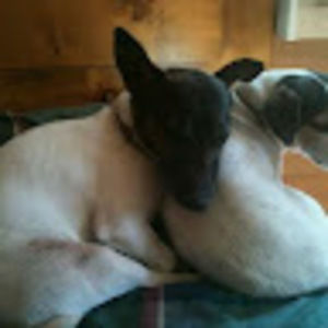 Meet your Posher, Robert